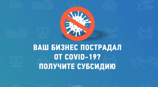 Субсидии из Федерального Бюджета